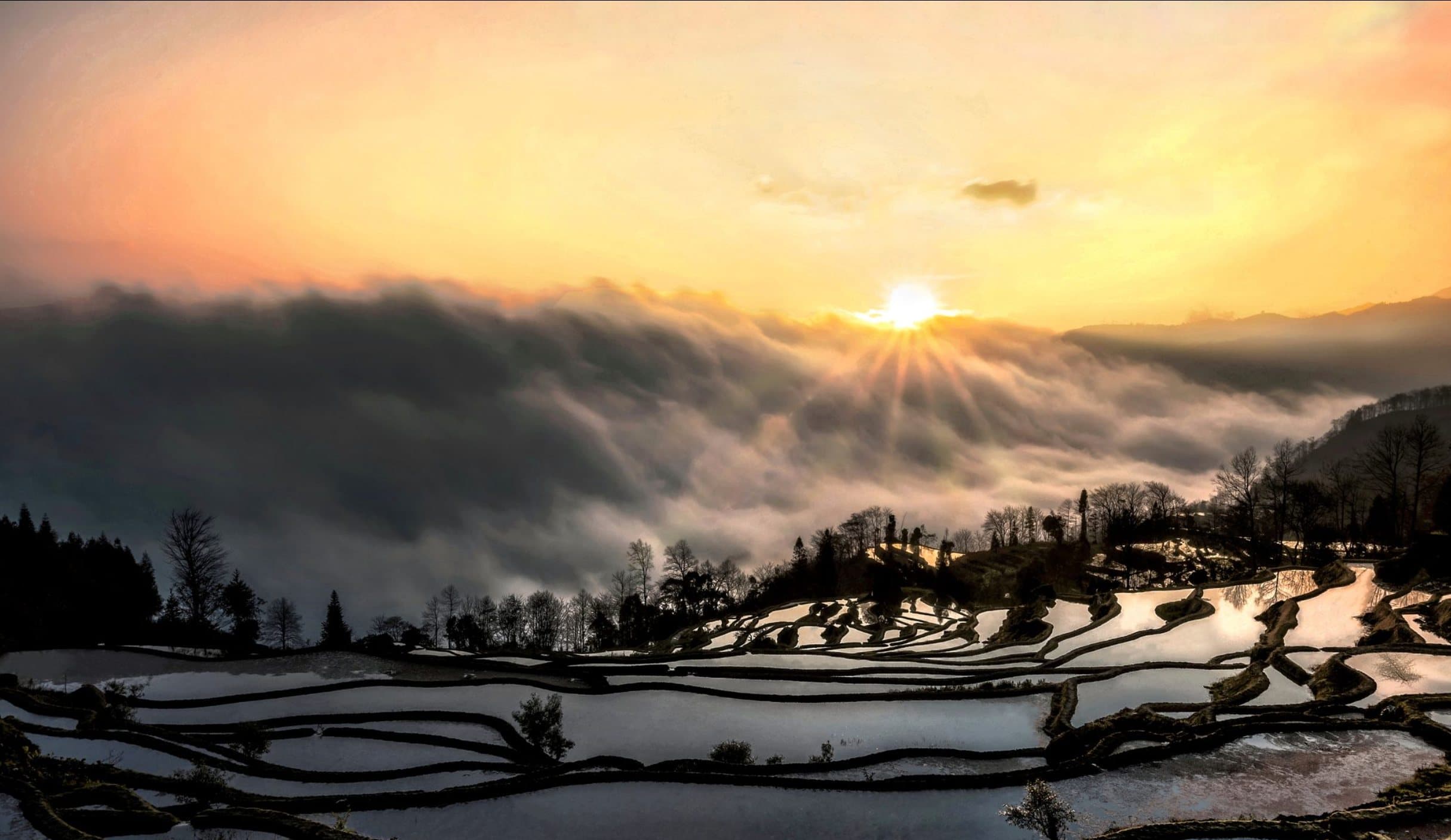 Sunrise over a sea of clouds and rice terraces