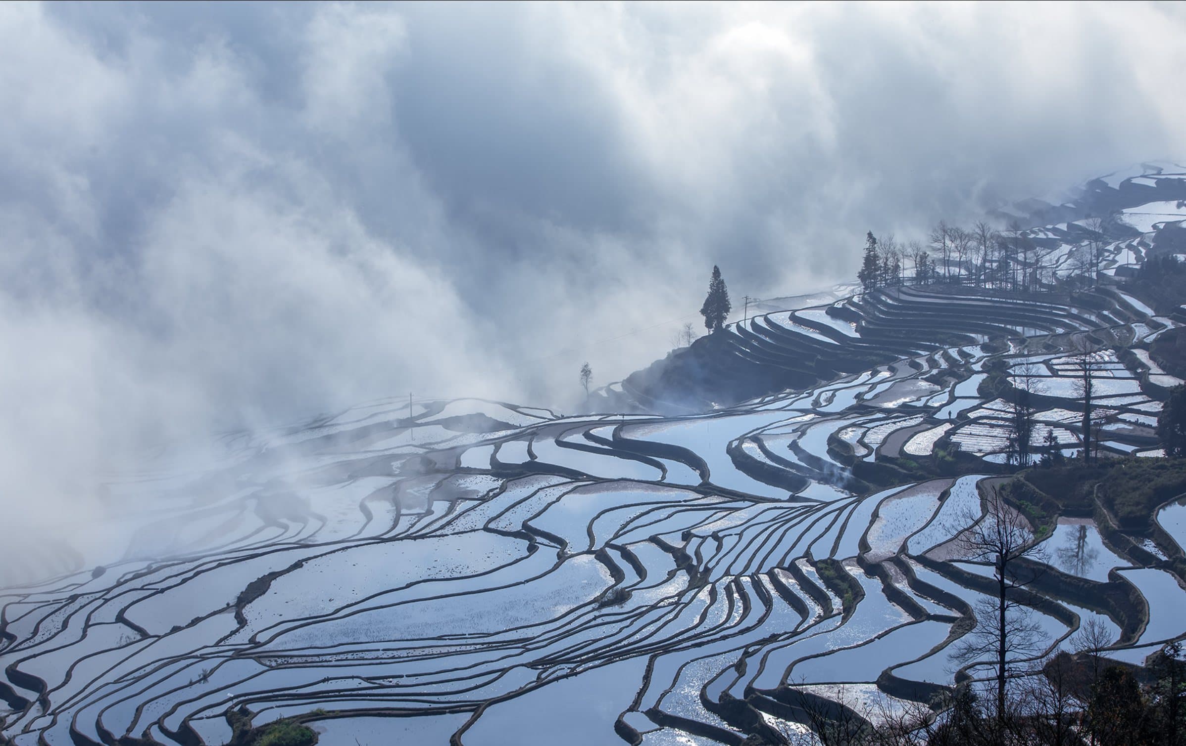 Hillside rice terraces wrapped in mist